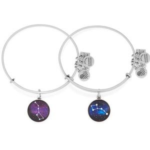 Big Dipper/Little Dipper alex and ani bracelets
